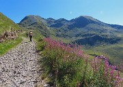 Laghi alti di Foppolo ad anello via Passo-Cima di Valcervia- 5 agosto 2025  - FOTOGALLERY